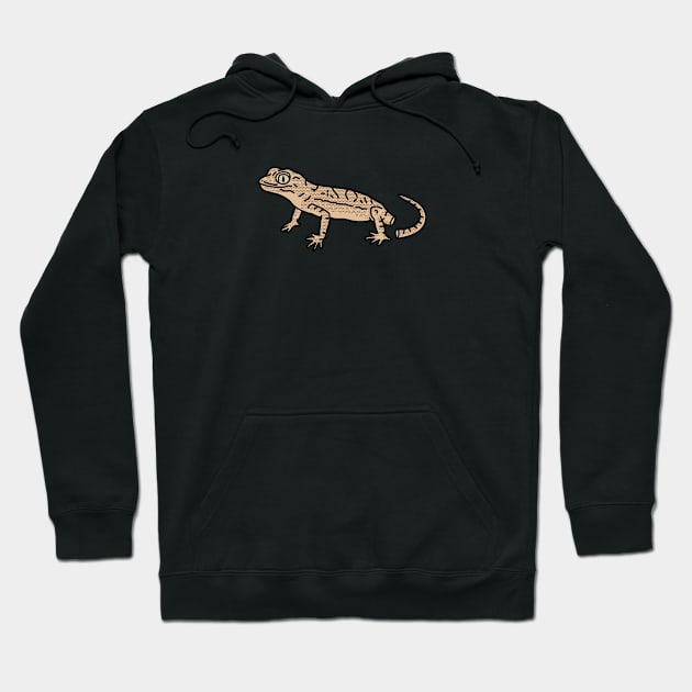 House lizard Hoodie by kalemstudio